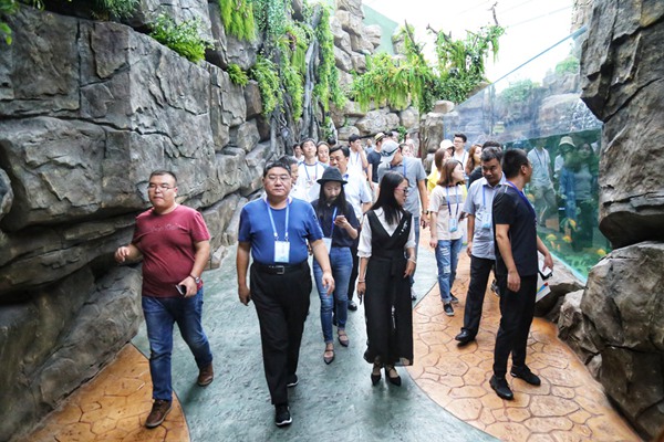 �ļ����B(ni��o)�@��(n��i)��ľ�ҷ�