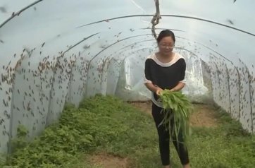 90���l�����d�����T�������ڄڡ��ơ����¸�·