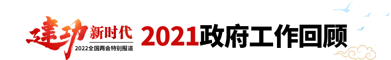 2021政府工作回顧