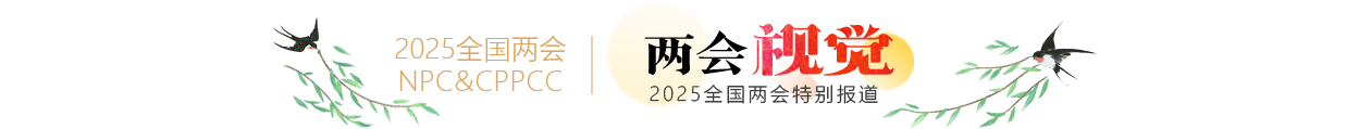 兩會(huì)視覺