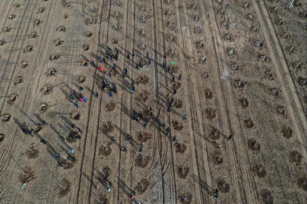 ��3��12�գ�־Ը���ںӱ�ʡ�ȷ��д�S�������οh�۸��(zh��n)���m�V��ֲ�䣨�o�˙C��Ƭ�������A��l(f��)������ �z��