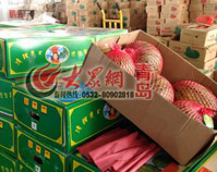 ����"������"����17�� ӛ�ߵ�׷��������·��