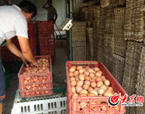 "�����"�r(ji��)��"��5��6" ӛ�����h(hu��n)��(ji��)̽"���F"����