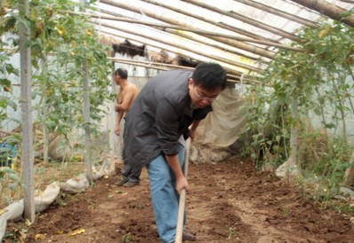 ��һ����ᔰҷ��أ�����һ�X�T�ӵĺ�