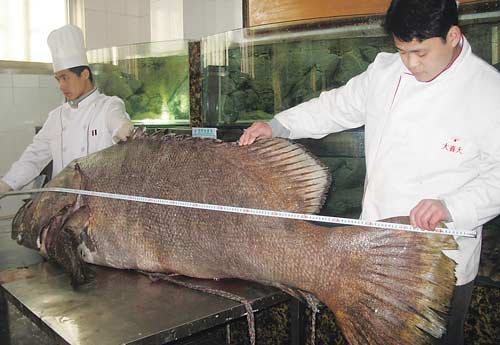 ���~���������ˣ�������