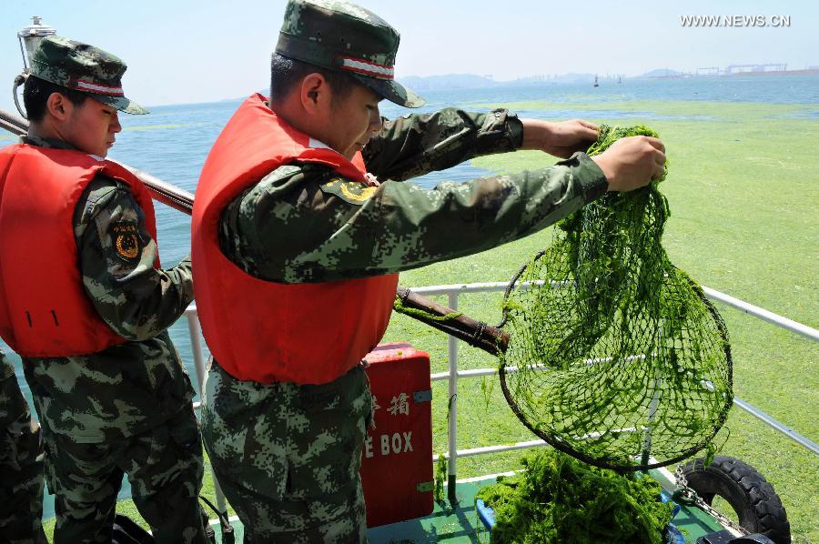 CHINA-SHANDONG-QINGDAO-GREEN ALGAE (CN)