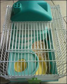 摩托羅拉W510評(píng)測(cè) 超高性價(jià)比摩托金屬超薄翻蓋W510評(píng)測(cè)(5)