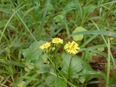 拍照較量諾基亞N73與索愛K810對比(8)