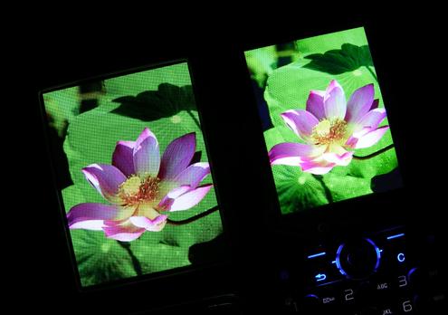 拍照較量諾基亞N73與索愛K810對比(10)