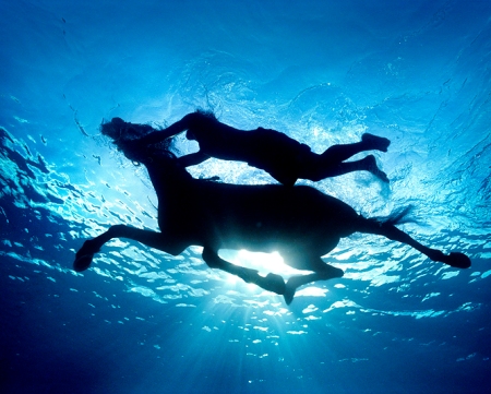 �����ˮ�zӰ