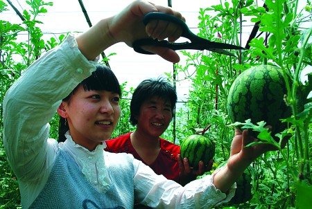 �������Ϲ��r����