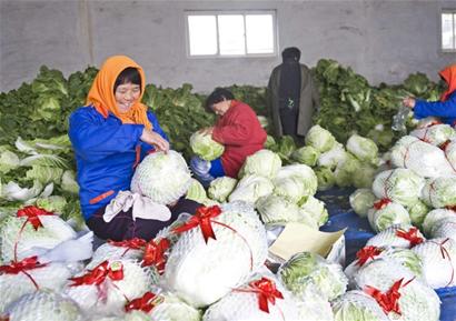 ���r���b�z�ݴ�ײ�