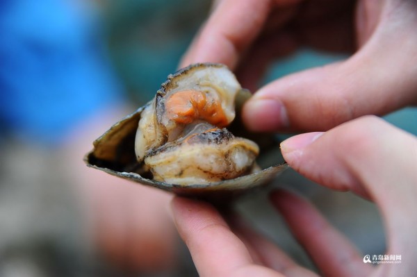 ���壺���u�O�������S��