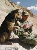 ����ˣ����Ц˲�g