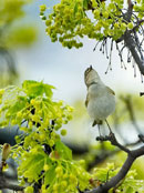 ���죡��׌�������