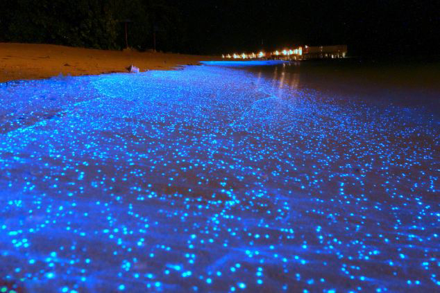 �����Ҋ�^ҹ���аl���Ξ���x��������Ҋ�^ҹ����l������溣���᣿��Ӣ����ÿ���]��1��23�Ո�������գ����R������ĺ����ϣ�һλ���ڶ����µĔzӰ�������˕��l��ĺ������@һ���澰��