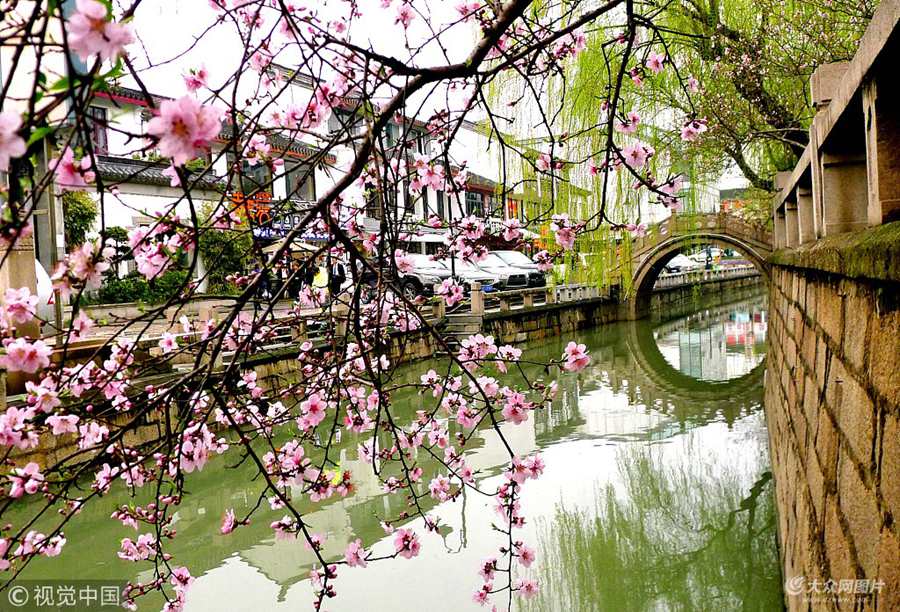 2018��3��19�գ����֌������K�ݽ��^����߅��̎�Ҽt���G�������������ʬFһ�ɴ��ⰻȻ�����˾���