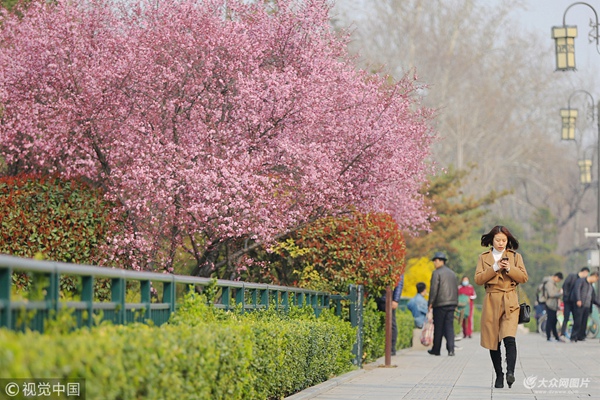 2018��3��22�գ�ɽ�|���ϸ����^�ѻ����һ����ӻ������_�ţ��������\���������ˣ����˼�������������B������