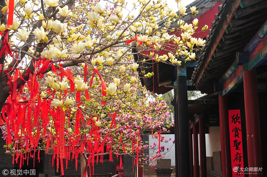 2018��3��29�գ�ɽ�|��(j��)�����ϸ����_��ɫ�箋��