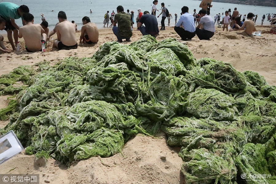 2018��6��19�գ����u�����غ�һ���_ʼ���F���ǝG̦�����u�����P���T�M���������r���G̦�M������������޶ȴ_�����պ���������