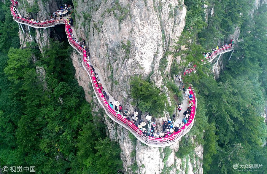 2018��7��8�գ���������Ͼ�ɽ�e���^��������ڰ�ɽ������2000�׵đ������ϰ�����һ�����ƺ�ʢ�硱���O�����M��ͣ�׌�����MƷ�LĢ��ɽ�������r���r��ˮ�������r��֭�������c�ĵ���