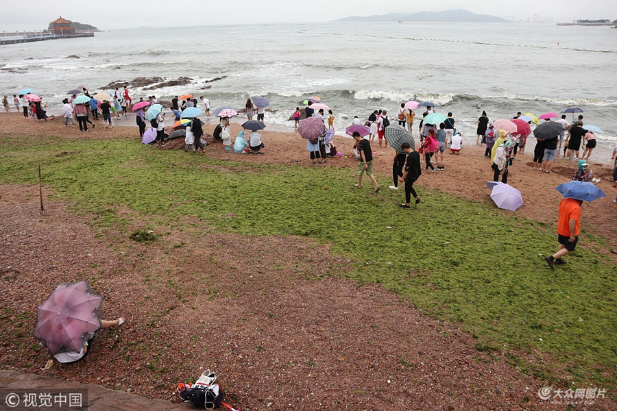 2018��7��9�գ��G̦�S�����u�����uǰ������(d��ng)�գ����uӭ�е�������⣬���I�L(f��ng)���˼������֝G̦�S���˱�ӿԽ�^���G�W(w��ng)Ư����������P(gu��n)���T�M������ð���G�_�������坍��