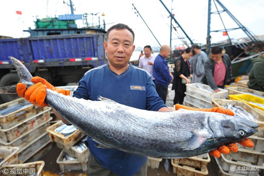 2018��9��28�գ��O�������u�Ѝ�ɽ�^���ĝO��չʾ15���ش����~��