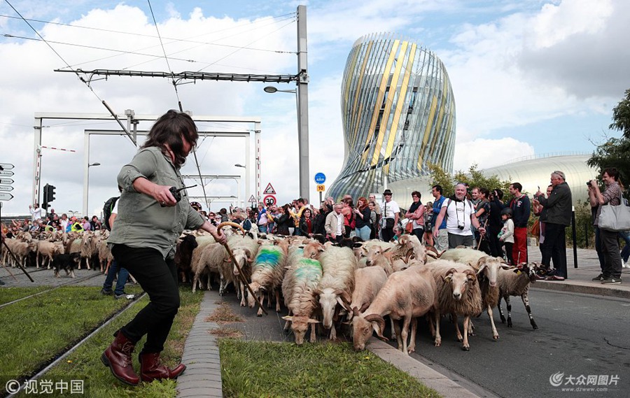 ���ؕr�g2018��10��6�գ�������������һǧ�^�򴩳Ƕ��^��