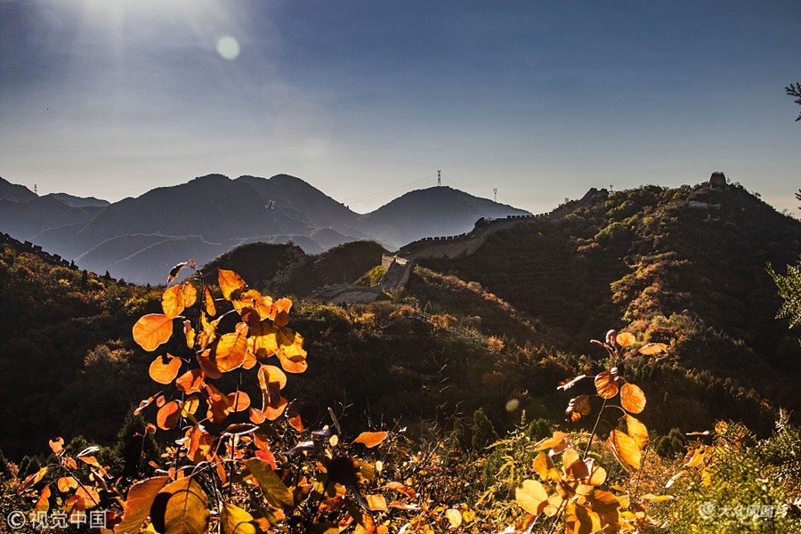 2018��10��18�����������������_�X����ɭ�ֹ��@�t�~�X������r���t�~�Mɽ�����M�@�����ﾰ��