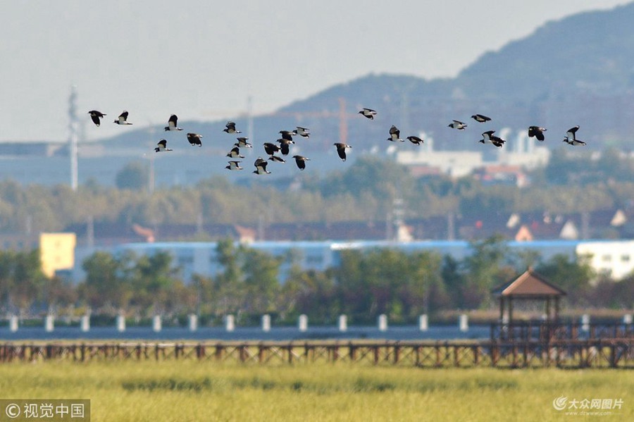 2018��10��23�գ������u�z�ݞ������뺣�ڝ�أ��½��w�����P�^���u��Ѳ��Ғʳ��