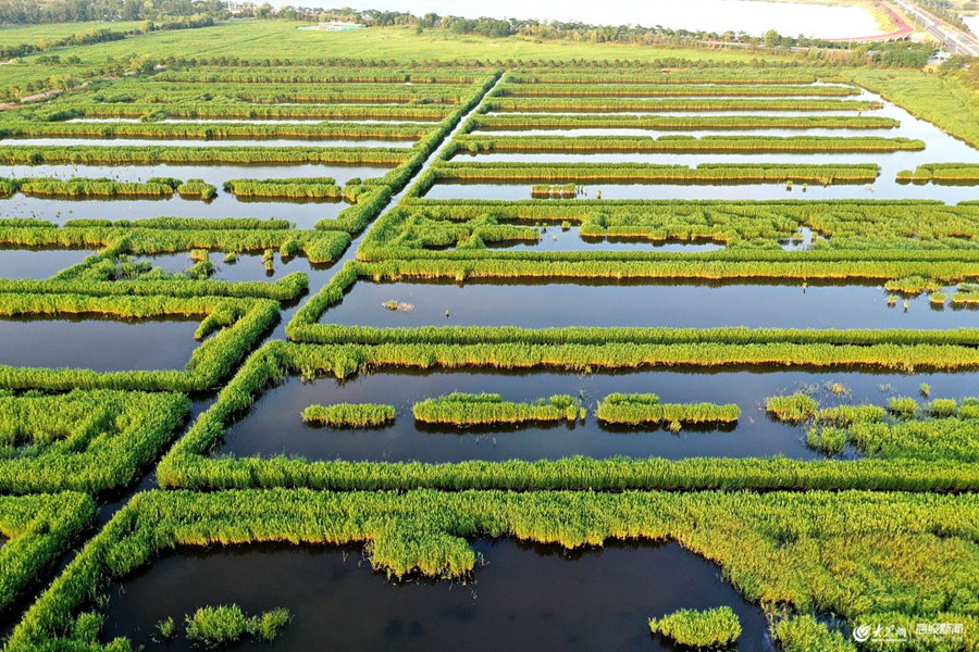 ���������՝�����箋