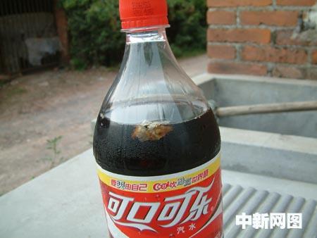 未開封可口可樂(lè)中漂有異物消費(fèi)者嚇了一跳