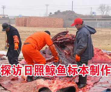 ����ҕ�l��̽�L�����L�~�˱�����