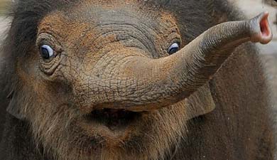 �Ĵ������ɐ�С�󌚌��״�����