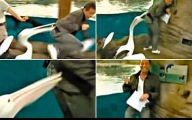 ����������ֱ���r���Y������