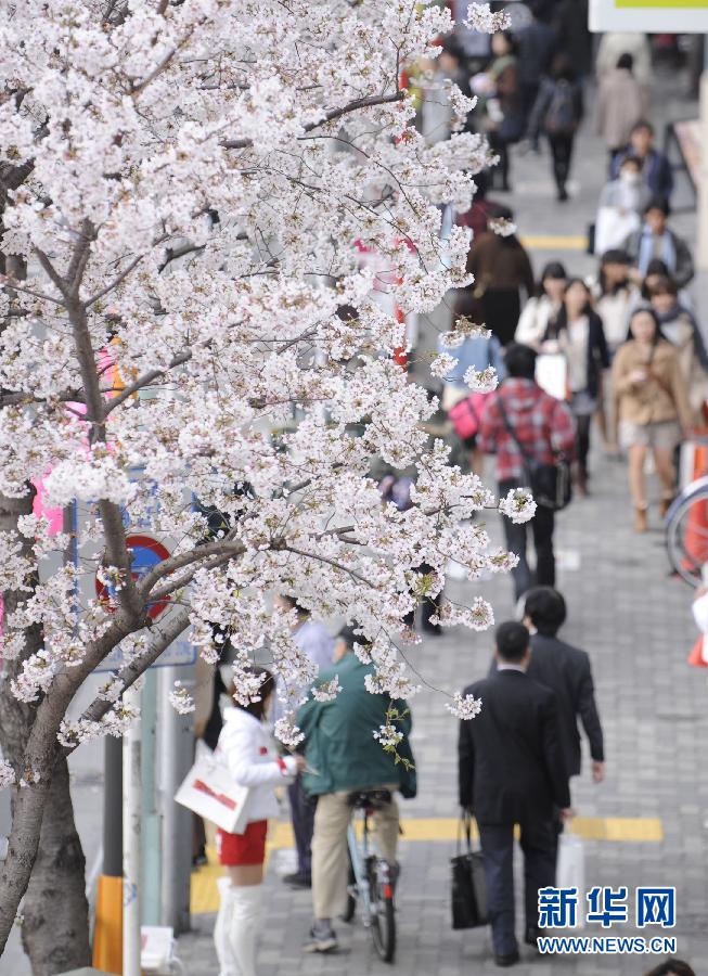 �ձ�ӭ��ѻ��� �˕r�˿���Ը�c�l��飿