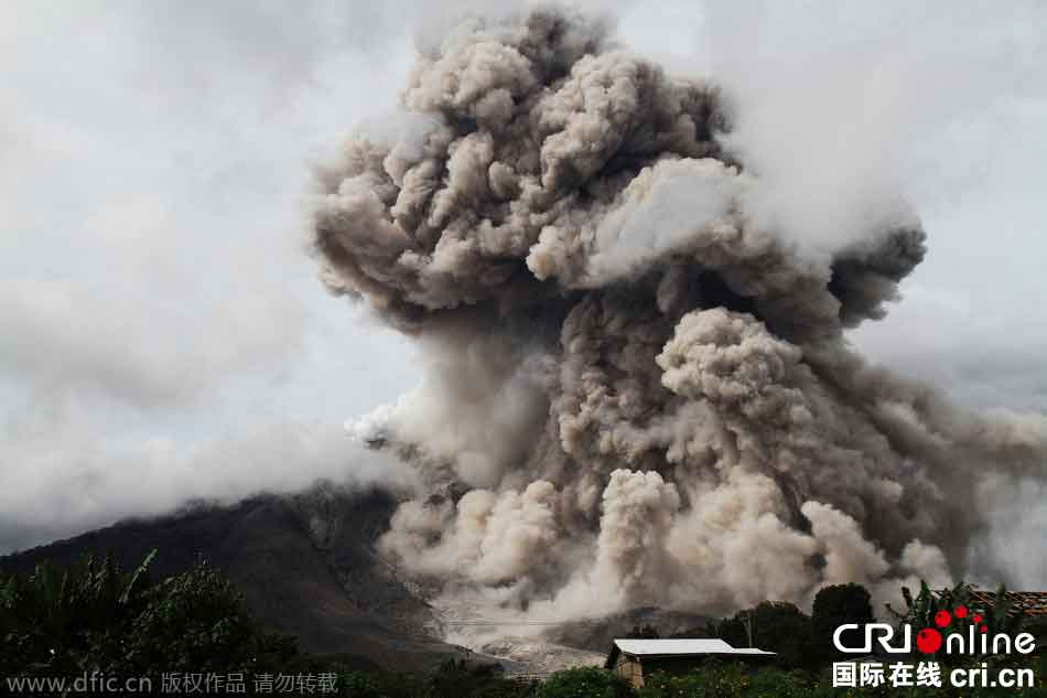 ӡ���a�{���ɽ���m���l ��ɽ�қ_����Ģ����