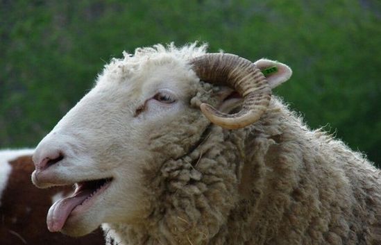 ��һ̎�r���ľd���`ʳ���G���������rֵ4000�^�Ĵ������·��׃�ÿĿĽO�O���r����ԭ���Ԟ��@Щ���b��7����ɫ���ϴ���Ĵ���ֻ����ͨ�ľGֲ��Ȼ���@Ⱥ�������high�ˣ����N��ɵЦ����