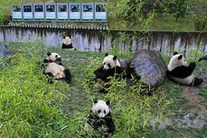 ������W�\��������؈�x��