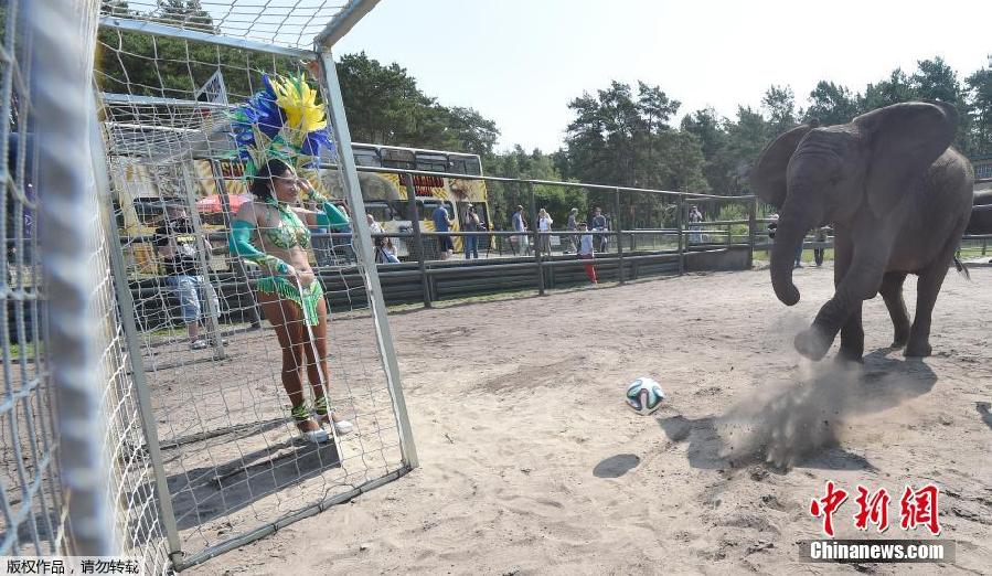 2014��6��4�գ������ǹ�����2014�������籭��4�qĸ���A�y���Ͻ��c�𣬿����������@�ٻ�����A�Եۡ�