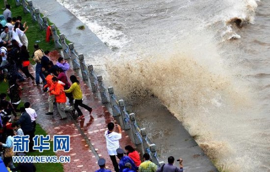 �㽭�X������ӿ����10�f�ο�(�M�D)