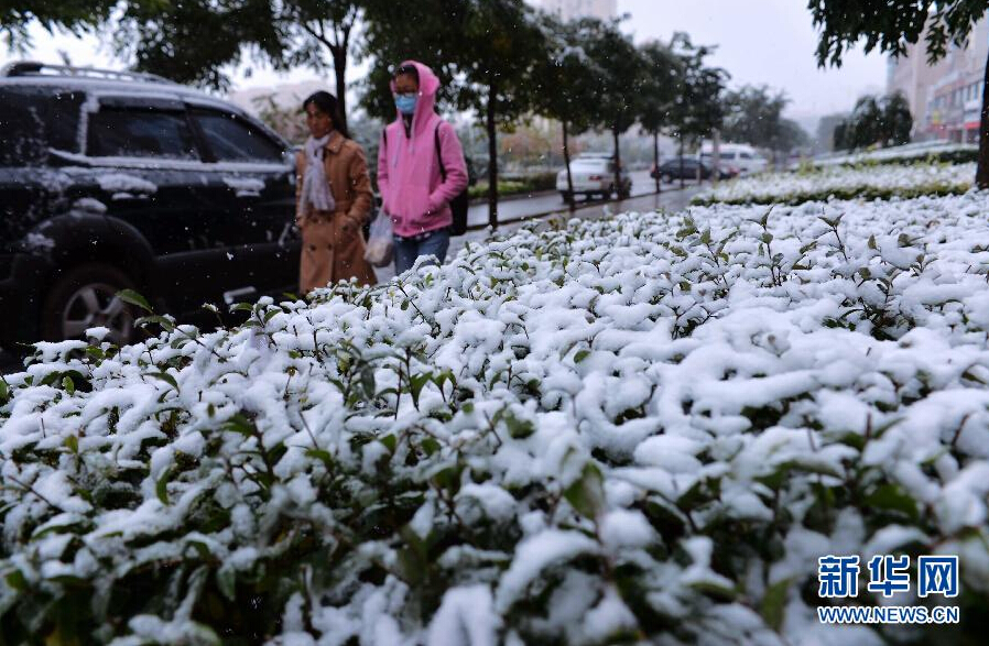 10��11�գ���������ðѩ���ڸ��CʡμԴ�h���^�����գ����½��|���^����՚�Ӱ푣����Cʡ�ȶ�س��F�����ԁ��׈���ѩ��⣬����ձ��½�8�z�϶����ϡ� ���A��ӛ�� ꐱ� �z