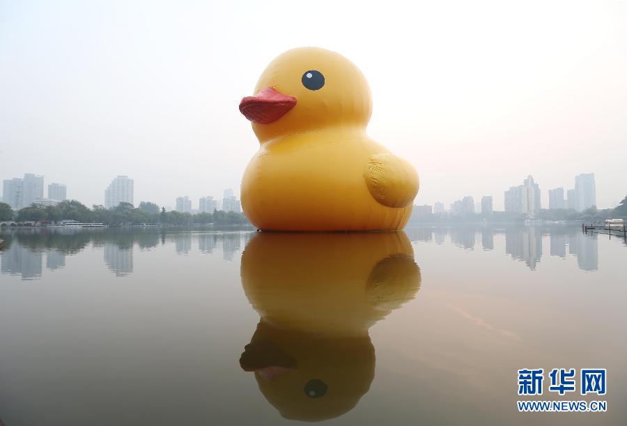 10��20�գ������S����Ư�����Ͼ�Ī����ϡ���(d��ng)�գ��ɺ��mˇ�g(sh��)�һ������O(sh��)Ӌ(j��)�����桰���S���������Ͼ�Ī������c����Ҋ(ji��n)�档 ���A��l(f��)������ �z��