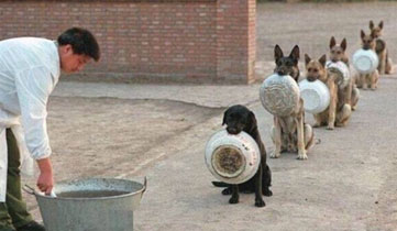 �����Ї���Ȯ�WԺ ��Ȯ��P��꠳��