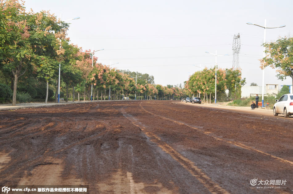 10��9����ɽ�|ʡ�ʝ��У��ǅ^����·�������װ����L��·���ϱ�ռ�����������20���׌���·����ֻ�ڵ�·�|�����²���5�׵ľ��x���������Տ������̱ǵĚ�ζ���������˽��ڱǶ��^��