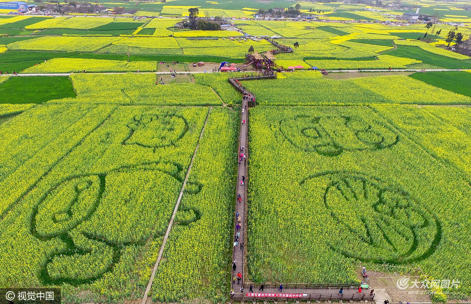 ��8�գ��Ĵ��V�h�����(zh��n)���ߴ��f���Ͳ˻�ʢ�_������������c(di��n)�����Ă���ͨ����D�����քe�ǙC(j��)��؈��hellokitty����ס�С�S�ˣ������j(lu��)�[���^���ο��p��֮���������