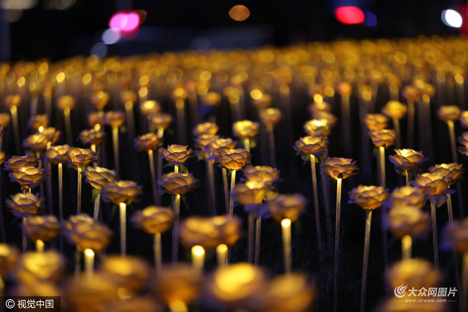 9��17�գ�ɽ�|ʡ���u���ƍu�����I���@����5�f��t���Sõ�廨���M�ɵĹ�֮õ�廨�������@��������Ȼ�`�ţ����@�����﹝�������S��������գ������S�������؄e����Hǰ�����档