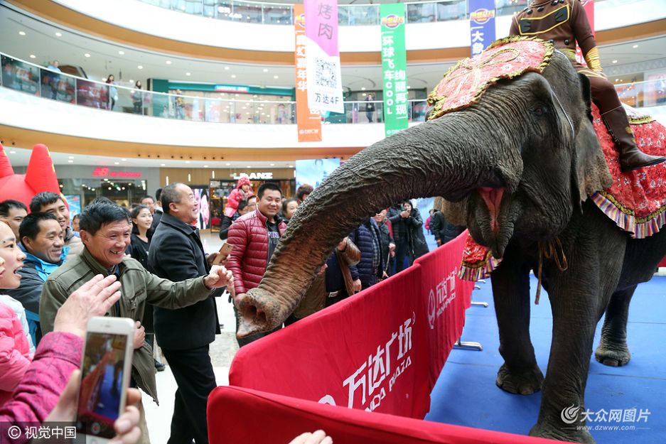 11��22�գ�̩��ĳ�̈�����������Ո���������d��ͬ��ǰ��ُ������񌦴�����F���˝���dȤ���S�����^�������࣬��Щđ�������������ǰ��������ӣ��Ĵ����ƨ�ɡ�