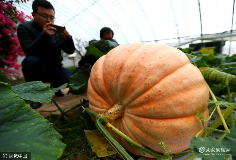 ���գ����u������ϵļ�ī�Ї����r�I���^�F���r�Iʾ���������M�ġ������Ϲϡ�ԇ�N�ɹ��������˱������^�������^�p��