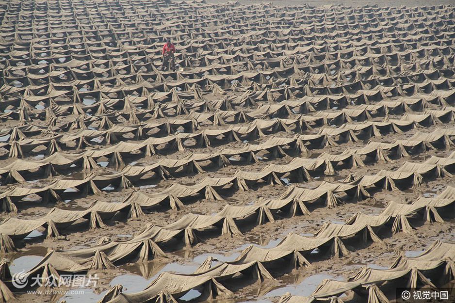 2017��4��3�գ���ɽ�|�|�I�S���뺣�ڝ�ظ���������ɽ�|�|�I�����Bֳ���أ�����ʮ�։��^�𺳡�